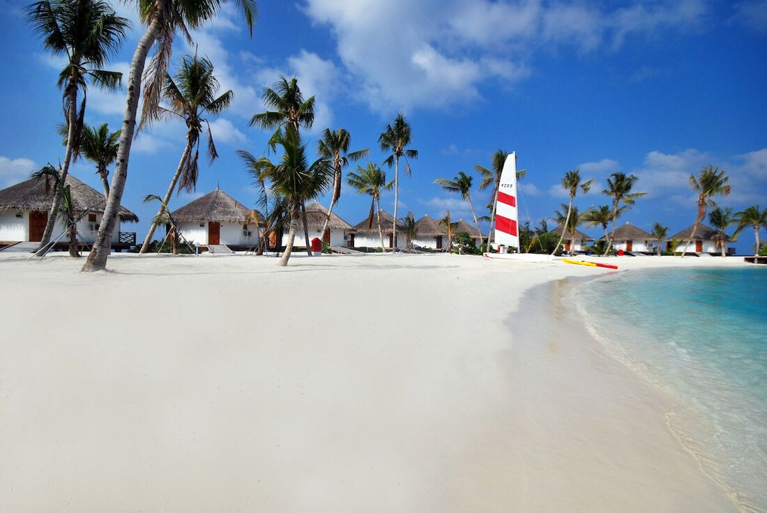 Safari Island Resort